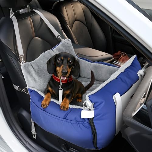 SIVEIS 3-in-1 Hundesitz fürs Auto & Reisebett für kleine Hunde – Tragbarer Autositz mit erweiterbarer Liegefläche, gepolstertem Kissen, für Vorder- oder Rücksitz, innen & außen SIVEIS 3-in-1 Hundesitz fürs Auto & Reisebett für kleine Hunde – Tragbarer Autositz mit erweiterbarer Liegefläche, gepolstertem Kissen, für Vorder- oder Rücksitz, innen & außen von SIVEIS