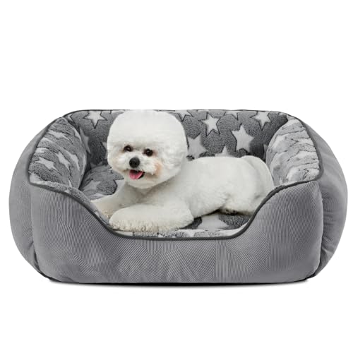 SIWA MARY Hundebett für kleine Hunde, Katzenbetten für Hauskatzen, Sternenmuster innen, rechteckig, waschbar, schlafendes Welpenbett mit Rutschfester Unterseite, weich und beruhigend, Größe S (50,8 x SIWA MARY Hundebett für kleine Hunde, Katzenbetten für Hauskatzen, Sternenmuster innen, rechteckig, waschbar, schlafendes Welpenbett mit Rutschfester Unterseite, weich und beruhigend, Größe S (50,8 x von SIWA MARY