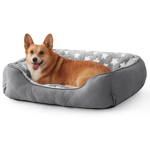 SIWA MARY Hundebett für mittelgroße und große Hunde, Sternenmuster innen, rechteckiges Haustiersofa, waschbar, weich, wärmend, mit rutschfester Unterseite, Größe L, 76,2 x 61 x 22,9 cm, Grau SIWA MARY Hundebett für mittelgroße und große Hunde, Sternenmuster innen, rechteckiges Haustiersofa, waschbar, weich, wärmend, mit rutschfester Unterseite, Größe L, 76,2 x 61 x 22,9 cm, Grau von SIWA MARY
