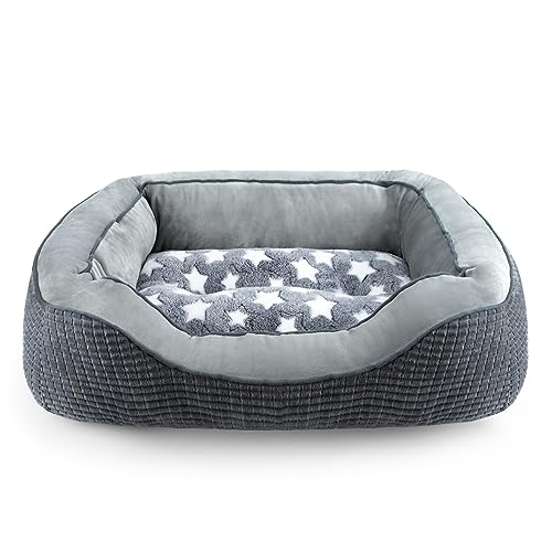 SIWA MARY Hundebetten für kleine Hunde & Katzen, waschbares Hundesofa Bett mit breiten Seiten, Pentagramm-Muster-Design, langlebiges Haustier-Kuschelbett, wärmendes weiches beruhigendes Welpenbett zum SIWA MARY Hundebetten für kleine Hunde & Katzen, waschbares Hundesofa Bett mit breiten Seiten, Pentagramm-Muster-Design, langlebiges Haustier-Kuschelbett, wärmendes weiches beruhigendes Welpenbett zum von SIWA MARY