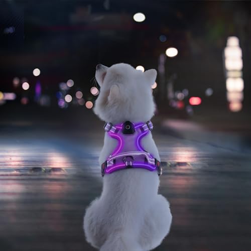 LED-Hundegeschirr für kleine Hunde, beleuchtetes Hundegeschirr, kein Ziehen, Hundegeschirr mit 2 Leinenclips, verstellbar, weich gepolsterte Hundeweste, reflektierendes Hundegeschirr mit leicht zu von SIXPET