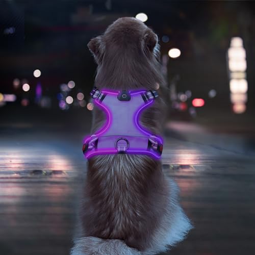 LED-Hundegeschirr, Violett, Größe XL von SIXPET
