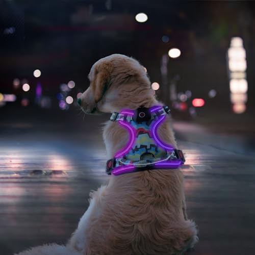 LED-Hundegeschirr für große Hunde, beleuchtetes Hundegeschirr, kein Ziehen, Hundegeschirr mit 2 Leinenclips, verstellbar, weich gepolsterte Hundeweste, reflektierendes Hundegeschirr mit leicht zu von SIXPET