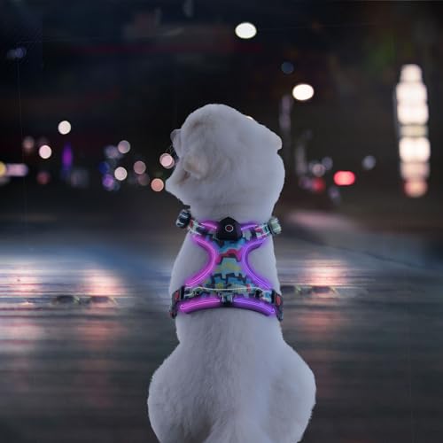 LED-Hundegeschirr für kleine Hunde, beleuchtetes Hundegeschirr, kein Ziehen, Hundegeschirr mit 2 Leinenclips, verstellbar, weich gepolsterte Hundeweste, reflektierendes Hundegeschirr mit leicht zu von SIXPET