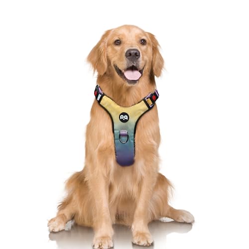 LED-Hundegeschirr für mittelgroße Hunde, beleuchtetes Hundegeschirr, kein Ziehen, Hundegeschirr mit 2 Leinenclips, verstellbar, weich gepolsterte Hundeweste, reflektierendes Hundegeschirr mit leicht von SIXPET