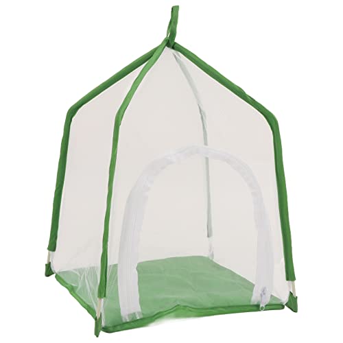 SIXRUN Insektenkäfig, Feines Mesh-Insektenhaus für Kleine Insekten, Mantiden, Schmetterlinge und Ornamentale Pflanzen von SIXRUN