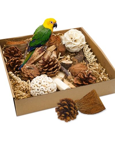 SIYIPURR Natürliches Vogelfutterspielzeug – Sittich- und Nymphensittich-Spielzeugbox für Papageien, Sittiche, Wellensittiche und Lovebirds, kleine bis mittelgroße Vögel von SIYIPURR