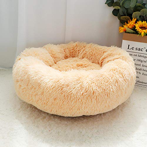 SJHDHDA Warmes Fleece-Hunde- und Katzenbett, rund, Hundehütte, Haustier-Katzenhaus, langes Plüsch-Schlafsofa, Welpen-Katzenbett, Matte, Kissen, Beige, 60 cm, ausgiebig gelernt SJHDHDA Warmes Fleece-Hunde- und Katzenbett, rund, Hundehütte, Haustier-Katzenhaus, langes Plüsch-Schlafsofa, Welpen-Katzenbett, Matte, Kissen, Beige, 60 cm, ausgiebig gelernt von SJHDHDA