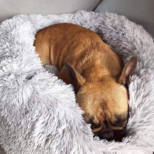 SJHDHDA Weiches Plüsch-Hundebett, rund, Hundehütte, Katzen-, Welpen-Sofa, Bett, Senioren-Komfort, warme Haustiermatratze, grau, M_Durchmesser_60, ausgiebig gelernt SJHDHDA Weiches Plüsch-Hundebett, rund, Hundehütte, Katzen-, Welpen-Sofa, Bett, Senioren-Komfort, warme Haustiermatratze, grau, M_Durchmesser_60, ausgiebig gelernt von SJHDHDA