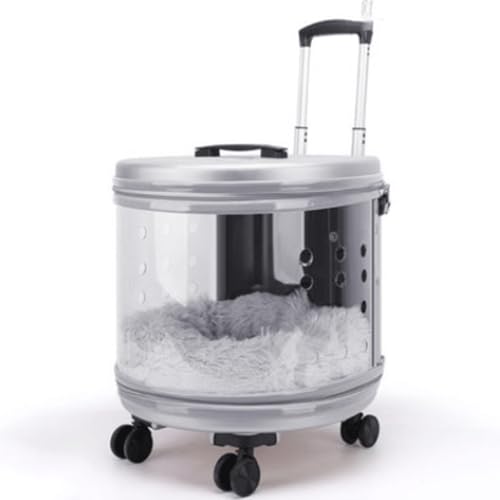 Haustier-Rucksack mit Rädern – Transparenter Reisetrolley for Hunde und Katzen, robuster Griff und Flexible Räder for den Einsatz im Freien(Blanc) von SJHDUNBW EUR