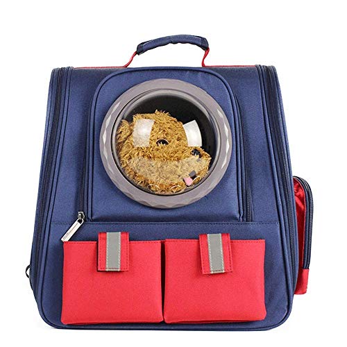 Haustier-Tragerucksack for Katzen und Welpen, tragbare, atmungsaktive Reisetasche for Haustiere for Wandern, Spazierengehen und for den Einsatz im Freien(Bleu) von SJHDUNBW EUR