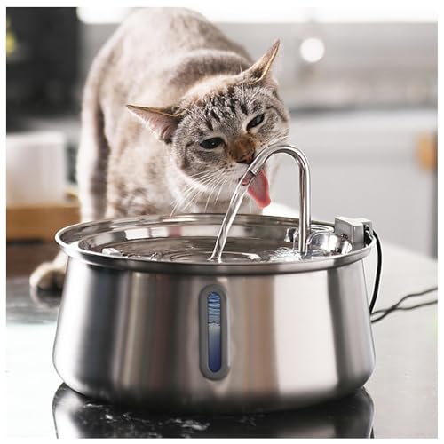Katzen Wasserbrunnen Edelstahl, 3,798.8 g/4L mit Wasserstandsfenster, Ultra Leise mit Filter Katze Wassernapf Spender für mehrere Haustiere - Spülmaschinenfest Katzen Wasserbrunnen Edelstahl, 3,798.8 g/4L mit Wasserstandsfenster, Ultra Leise mit Filter Katze Wassernapf Spender für mehrere Haustiere - Spülmaschinenfest von SJWJWOO