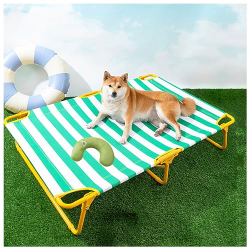 SJWJWOO Erhöhtes Haustierbett mit Kissen, keine Montage erforderlich, kaufest, atmungsaktiv, kühlendes Hundebett für drinnen und draußen, tragbar, grün, M88 x 61 x 22 cm SJWJWOO Erhöhtes Haustierbett mit Kissen, keine Montage erforderlich, kaufest, atmungsaktiv, kühlendes Hundebett für drinnen und draußen, tragbar, grün, M88 x 61 x 22 cm von SJWJWOO