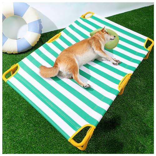 SJWJWOO Erhöhtes Hundebett, groß, mit Kissen, kein Zusammenbau erforderlich, kaufest, atmungsaktiv, kühlendes Hundebett, Outdoor, für Katzen, Hunde, Camping oder Strand, Grün, XL 119 x 80 x 23 cm SJWJWOO Erhöhtes Hundebett, groß, mit Kissen, kein Zusammenbau erforderlich, kaufest, atmungsaktiv, kühlendes Hundebett, Outdoor, für Katzen, Hunde, Camping oder Strand, Grün, XL 119 x 80 x 23 cm von SJWJWOO