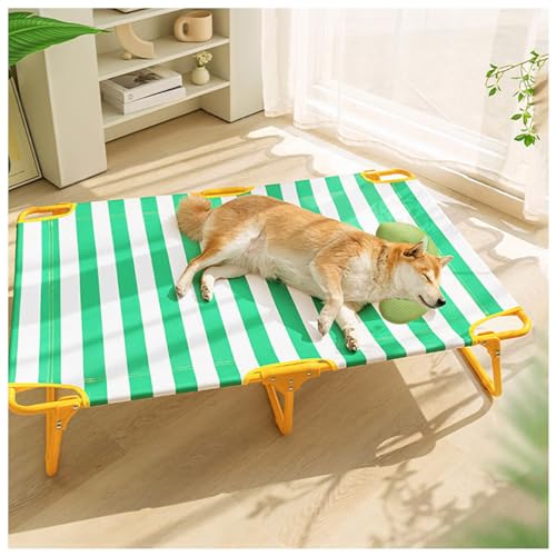 SJWJWOO Erhöhtes Hundebett mit Kissen, kein Zusammenbau erforderlich, kaufest, atmungsaktiv, kühlendes Hunde-Hochbett für Katzen, Hunde, Camping oder Strand, Grün, XL 119 x 80 x 23 cm SJWJWOO Erhöhtes Hundebett mit Kissen, kein Zusammenbau erforderlich, kaufest, atmungsaktiv, kühlendes Hunde-Hochbett für Katzen, Hunde, Camping oder Strand, Grün, XL 119 x 80 x 23 cm von SJWJWOO