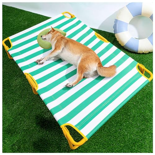 SJWJWOO Erhöhtes Hundebett mit Kissen, keine Montage erforderlich, kaufest, atmungsaktiv, kühlendes Hundebett für Katzen, Hunde, Camping oder Strand, Grün, L 106 x 61 x 22 cm SJWJWOO Erhöhtes Hundebett mit Kissen, keine Montage erforderlich, kaufest, atmungsaktiv, kühlendes Hundebett für Katzen, Hunde, Camping oder Strand, Grün, L 106 x 61 x 22 cm von SJWJWOO