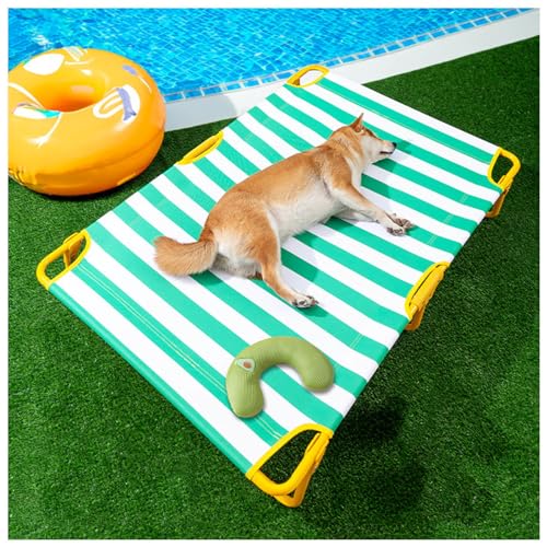 SJWJWOO Faltbares Hundebett mit Kissen, keine Montage erforderlich, kaufest, atmungsaktiv, kühlend, erhöhtes Hundebett für Katzen, Hunde, Camping oder Strand, Grün, M88 x 61 x 22 cm SJWJWOO Faltbares Hundebett mit Kissen, keine Montage erforderlich, kaufest, atmungsaktiv, kühlend, erhöhtes Hundebett für Katzen, Hunde, Camping oder Strand, Grün, M88 x 61 x 22 cm von SJWJWOO