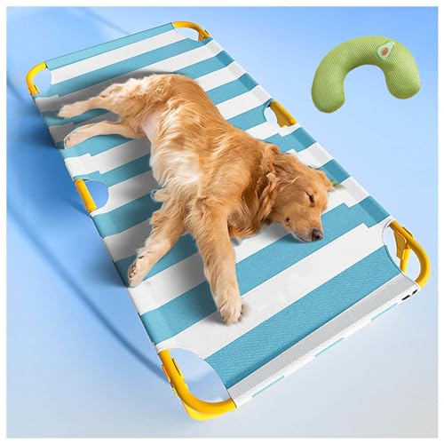 SJWJWOO Faltbares Hundebett mit Kissen, keine Montage erforderlich, kaufest, atmungsaktiv, kühlend, faltbares Hundebett für Katzen, Hunde, Camping oder Strand, Blau, 106 x 61 x 22 cm SJWJWOO Faltbares Hundebett mit Kissen, keine Montage erforderlich, kaufest, atmungsaktiv, kühlend, faltbares Hundebett für Katzen, Hunde, Camping oder Strand, Blau, 106 x 61 x 22 cm von SJWJWOO