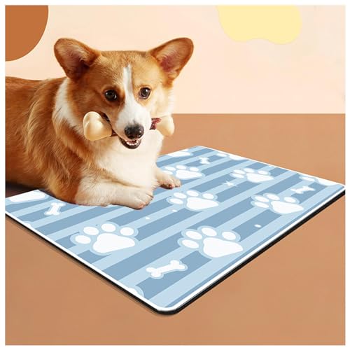 SJWJWOO Wassermatte für Hunde, mit wasserdichter Gummi-Rückseite, keine Flecken, schnell trocknend, für Hund und Katze, A-40 x 60 cm SJWJWOO Wassermatte für Hunde, mit wasserdichter Gummi-Rückseite, keine Flecken, schnell trocknend, für Hund und Katze, A-40 x 60 cm von SJWJWOO