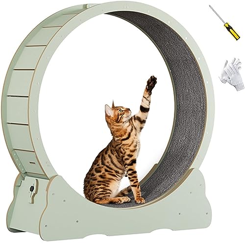 Cat Exercise Wheel Indoor Treadmill Small Animals Exercise Wheels,Für Drinnen Katzen,Sicherheits Katzen Laufrad Mit Schloss Und Minimiertem Spaltdesign,Green-L von SKIHOT