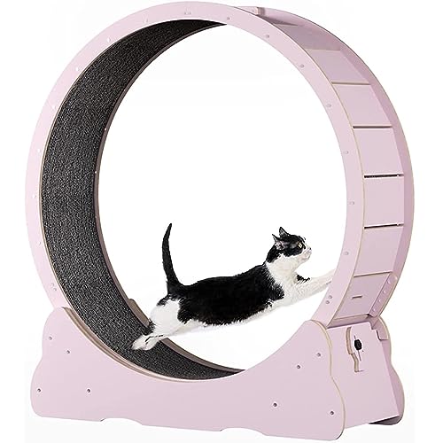 Cat Exercise Wheel Indoor Treadmill Small Animals Exercise Wheels,Für Drinnen Katzen,Sicherheits Katzen Laufrad Mit Schloss Und Minimiertem Spaltdesign,Pink-L von SKIHOT