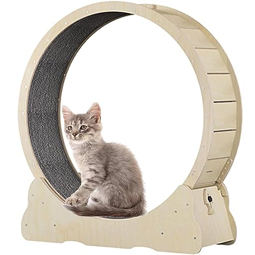 Cat Exercise Wheel Indoor Treadmill Small Animals Exercise Wheels,Für Drinnen Katzen,Sicherheits Katzen Laufrad Mit Schloss Und Minimiertem Spaltdesign,Woodcolor-L von SKIHOT