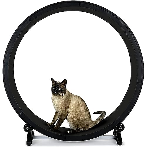 Cat Exercise Wheel Indoor Treadmill Small Animals Exercise Wheels,Sicherheits Katzen Laufrad Mit Schloss Und Minimiertem Spaltdesign von SKIHOT