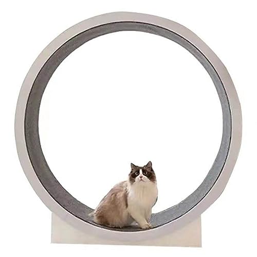 Katzen-Laufband Mit Teppich-Laufbahn,Katzenrad Fitnessgerät Zur Gewichtsabnahme,Low-Drop-Design,Indoor Katzen-Sportspielzeuge Und Ausrüstung von SKIHOT