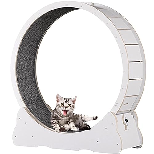 Katzenübungsrad Im Innenbereich,Katzen -Laufband Mit Verriegelungsmechanismus,TPE Leise Und Geräuschlose Rollen,Für Wohnzimmer/Schlafzimmer,White-L von SKIHOT