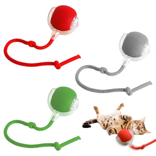 SKIKHN 3 PCS Katzenspielzeug Elektrisch, Interaktiver Spielball mit Schwanz für Katzen, 360° Rolling, Interaktives Katzenspielzeug Ball, Magic Ball Hund, Chewie Rolling Ball Für Katzen und Hunde SKIKHN 3 PCS Katzenspielzeug Elektrisch, Interaktiver Spielball mit Schwanz für Katzen, 360° Rolling, Interaktives Katzenspielzeug Ball, Magic Ball Hund, Chewie Rolling Ball Für Katzen und Hunde von SKIKHN