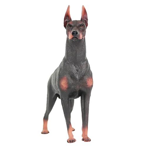 SKISUNO Realistisches Dobermann Hunde Modell aus Kunststoff Lebensechte Wildtierfigur Pädagogisches und Wohn deko Geeignet für Anschauliches Lernspielzeug und Dekoration SKISUNO Realistisches Dobermann Hunde Modell aus Kunststoff Lebensechte Wildtierfigur Pädagogisches und Wohn deko Geeignet für Anschauliches Lernspielzeug und Dekoration von SKISUNO