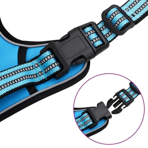 SKM Hundegeschirr Reflektierend Verstellbar Blau XL,Tiere & Tierbedarf,Haustierbedarf,Hundebedarf,Blue,0.58KG,4013376 SKM Hundegeschirr Reflektierend Verstellbar Blau XL,Tiere & Tierbedarf,Haustierbedarf,Hundebedarf,Blue,0.58KG,4013376 von SKM