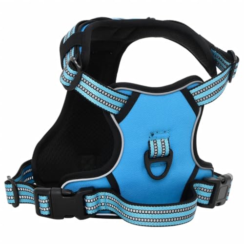 SKM Hundegeschirr mit Leine & Halsband Verstellbar Blau L,Tiere & Tierbedarf,Haustierbedarf,Hundebedarf,Blue,0.74KG,4013391 SKM Hundegeschirr mit Leine & Halsband Verstellbar Blau L,Tiere & Tierbedarf,Haustierbedarf,Hundebedarf,Blue,0.74KG,4013391 von SKM