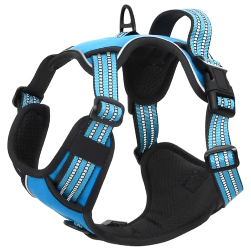 SKM Hundegeschirr mit Leine & Halsband Verstellbar Blau XL,Tiere & Tierbedarf,Haustierbedarf,Hundebedarf,Blue,0.76KG,4013396 SKM Hundegeschirr mit Leine & Halsband Verstellbar Blau XL,Tiere & Tierbedarf,Haustierbedarf,Hundebedarf,Blue,0.76KG,4013396 von SKM