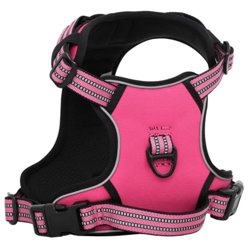 SKM Hundegeschirr mit Leine & Halsband Verstellbar Rosa L,Tiere & Tierbedarf,Haustierbedarf,Hundebedarf,Pink,0.74KG,4013394 SKM Hundegeschirr mit Leine & Halsband Verstellbar Rosa L,Tiere & Tierbedarf,Haustierbedarf,Hundebedarf,Pink,0.74KG,4013394 von SKM