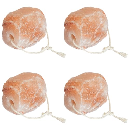 SKM Salzlecksteine 4 STK. mit Kordeln für Nutztiere 10 kg Rosa,Tier- & Haustierbedarf,Orange,10.1KG,42000116 von SKM