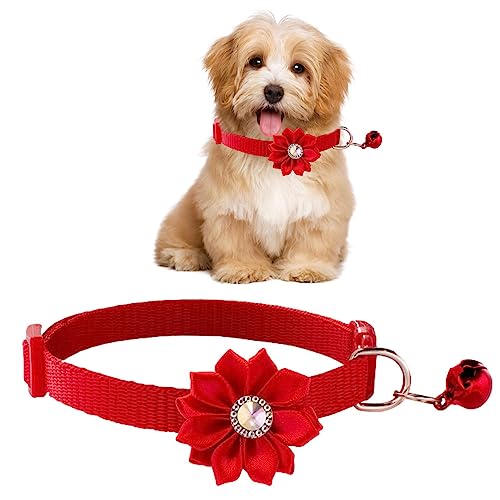Florales Kätzchenhalsband | Fliege Haustierkostümzubehör,Geblümtes Haustierhalsband mit Glöckchen, Cosplay-Zubehör, Haustier-Outfit-Zubehör Skuda Florales Kätzchenhalsband | Fliege Haustierkostümzubehör,Geblümtes Haustierhalsband mit Glöckchen, Cosplay-Zubehör, Haustier-Outfit-Zubehör Skuda von SKUDA