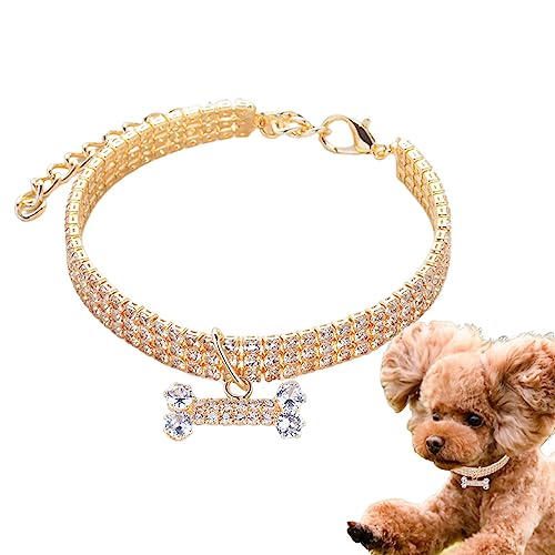Hundehalsband - Kleine Hunde Katzen Strass Halsband Halskette Set | Kleine Haustier-Halskette, Schmuck für kleine Hunde, Mädchen, Hündinnen, kleine Hunde, Welpen Skuda Hundehalsband - Kleine Hunde Katzen Strass Halsband Halskette Set | Kleine Haustier-Halskette, Schmuck für kleine Hunde, Mädchen, Hündinnen, kleine Hunde, Welpen Skuda von SKUDA
