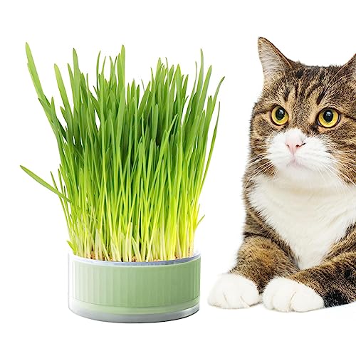 SKUDA Katzengras-Übertopf,Pflanzkasten, bodenfreier Katzenminze-Übertopf - Abnehmbare, bodenfreie Keimschale, Grasbox für Katzen, Hunde und andere Haustiere, Heimdekoration SKUDA Katzengras-Übertopf,Pflanzkasten, bodenfreier Katzenminze-Übertopf - Abnehmbare, bodenfreie Keimschale, Grasbox für Katzen, Hunde und andere Haustiere, Heimdekoration von SKUDA