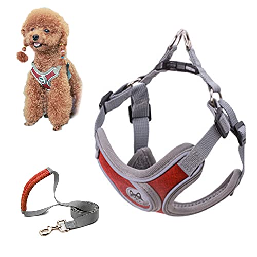 SKXEO Hundegeschirr für kleine Hunde, kein Ziehen, Hundegeschirr und Leine, verstellbar, atmungsaktiv, reflektierend, leicht, Haustierweste, einfache Kontrolle für Outdoor-Spaziergänge, Training von SKXEO