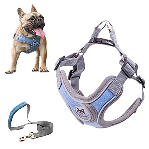 SKXEO Hundegeschirr für kleine Hunde, kein Ziehen, Hundegeschirr und Leine, verstellbar, atmungsaktiv, reflektierend, leicht, Haustierweste, einfache Kontrolle für Outdoor-Spaziergänge, Training von SKXEO