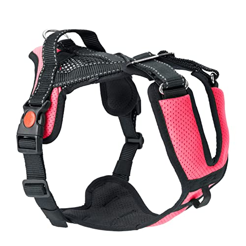 SLEDWORK® Hundegeschirr Brustgeschirr Mountain Pro Harness robust verstellbar atmungsaktiv schnell trocknend reflektierend sportiv für mittlgroße und große Hunde (neon-pink, XL) von SLEDWORK