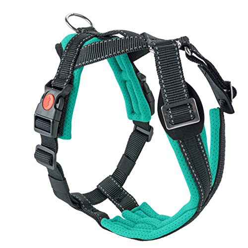SLEDWORK® Hundegeschirr Brustgeschirr Trekking Harness robust verstellbar atmungsaktiv schnell trocknend reflektierend sportiv für mittelgroße und große Hunde (eisblau, XL) von SLEDWORK