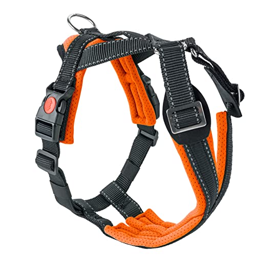 SLEDWORK® Hundegeschirr Brustgeschirr Trekking Harness robust verstellbar atmungsaktiv schnell trocknend reflektierend sportiv für mittelgroße und große Hunde (neon-orange, L) von SLEDWORK