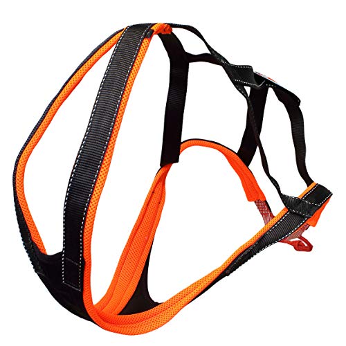 SLEDWORK X-Back ACTIV G2 orange/schwarz |SWXG2B| für CaniX und Mushing, Größe:6 von SLEDWORK