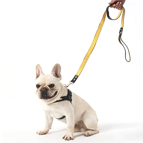 Hundegeschirr und Leine, geeignet für kleine, mittelgroße und große Hunde, kein Ziehen, verstellbares Hundegeschirr, schwarzes Set, Größe XL von SLMHEALTHSH
