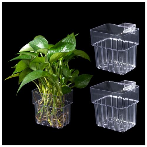 3 Stück transparent Aquarium Pflanzenhalter,Pflanzenständer für Aquarien,Wasserpflanzer für Aquascape Dekorationen, für Aquarium Aquaponic Pflanzen 3 Stück transparent Aquarium Pflanzenhalter,Pflanzenständer für Aquarien,Wasserpflanzer für Aquascape Dekorationen, für Aquarium Aquaponic Pflanzen von SLSON