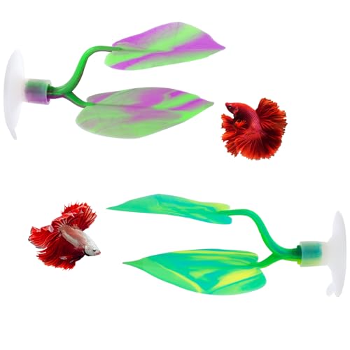 SLSON Betta Hängematte, Bettmatte, Ruhematte, Aquariumdekoration, Pflanzen, Dekoration für Fischtank aus weichem Silikon, starker Saugnapf, nicht leicht zu bewegen SLSON Betta Hängematte, Bettmatte, Ruhematte, Aquariumdekoration, Pflanzen, Dekoration für Fischtank aus weichem Silikon, starker Saugnapf, nicht leicht zu bewegen von SLSON