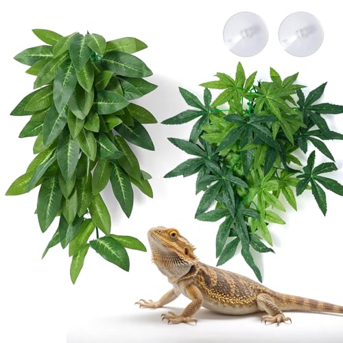SLSON Reptilien-Hängepflanzen mit Saugnapf für Terrarium, Kunststoff-Zubehör, künstliche Hängepflanzen für Bartagamen, Eidechsen, Geckos, Chamäleon-Lebensraum, Dekoration, Grün, 2 Stück SLSON Reptilien-Hängepflanzen mit Saugnapf für Terrarium, Kunststoff-Zubehör, künstliche Hängepflanzen für Bartagamen, Eidechsen, Geckos, Chamäleon-Lebensraum, Dekoration, Grün, 2 Stück von SLSON