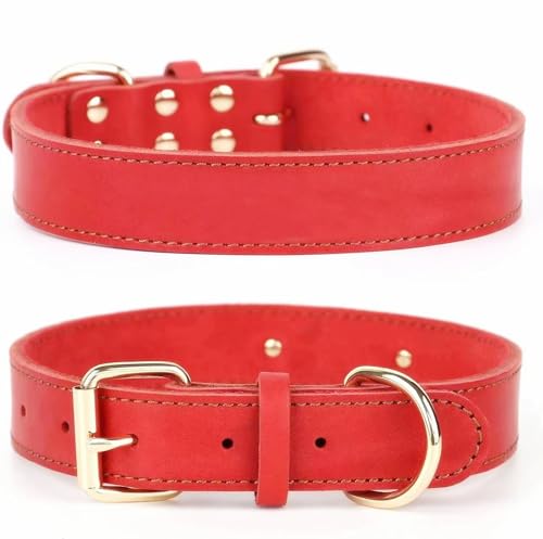 SLZZ Prämie Echtes Leder Hundehalsband/weich Dauerhaft Schwere Echtes Leder Hundehalsband für Rüde Weiblich Kleine X-Kleine Mittlere Große X-Große Hunde von SLZZ